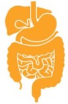 Gastroenterology